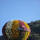 장성공원2 | 1박 2일 화순, 장성 가을꽃축제 막차후기