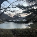 파주 초리골 숲 초호 펜션 후기