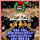 멋진 하루 이미지