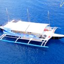 한바다식당 | 6박7일] #15 - 보홀 호핑투어 비교: 디프리호핑 vs 한바다호핑 vs 보홀 암스테르담 호핑(내돈내산 찐 후기)