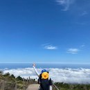 아마존공인중개사사무소 이미지