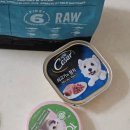 펫마트 강아지 논산점 | 펫마트 와그작 톡톡 강아지 산책용 훈련용 노즈워크 간식 시저 습식사료 내돈내산