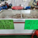 기천농산 - 안산시 상록구 | 기천농산