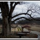 미천6리 이미지