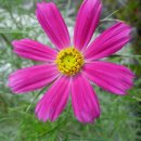 카톨릭병원 이미지