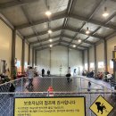 [남양주애견카페] 마석 실내애견카페 시고르댕 방문 후기