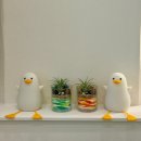 지에스더프레시 부산구남점 | [부산/사하구]다대포에스테틱 피예날에스테틱에서 속건조 잡고 열감 내린 솔직한 후기