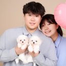 광주강아지분양 마마스미독 24시 광주봉선점 이미지