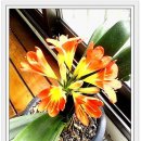 어느봄날 이미지