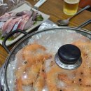 종로3가 가을 전어회 &amp; 대하구이 가성비 맛집 어사출또