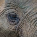 선호세탁소 이미지