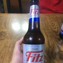 <맥주 후기> Fitz 맥주 후기 ! 간단하게 한잔 하기 좋다~