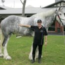 기성목장 이미지