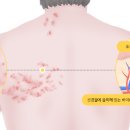 월배역바로정형외과 이미지
