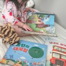 동화야 놀자 | 세계창작동화 4살책 그레이트북스 춤추는포포 3개월 후기