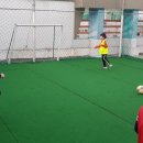 최강태권스쿨 이미지