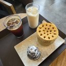 무지개뜨는마을(가동) | 여기 카페 맞아? 제주 애월 식물원 감성 오션뷰 카페 &lt;노을리&gt;