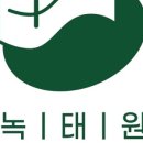 한식디저트 이미지