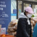 금일돈