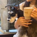 Needs Coffee(니즈커피) 이미지