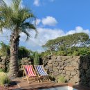 판포2060 이미지