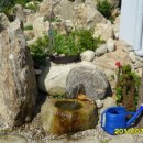 오대산늘벗 이미지