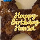 스테이 월화 이미지