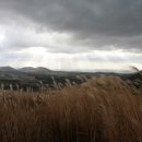 협재관광지 이미지