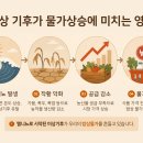 하나쌀집