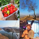 황지로 | 서울근교 여행 추천 연천 하루코스 구석기박물관 딸기체험까지 버스여행 후기