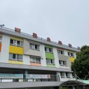 과정초교 | 제주 백록초등학교 다문화 요리 수업 출강 강사 미니 피자 만들기 현장 후기