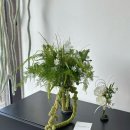 마이김밥 | 청주 비마이스튜디오 촬영 후기