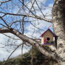 김해목재문화박물관 이미지