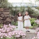 하도조아 이미지