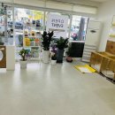 토리펫 이미지