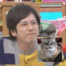 성진삼계탕 | 💛 &lt;액터즈 하우스 : 니노미야 카즈나리&gt; 후기