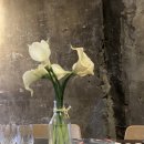 송어의꿈 이미지