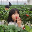 용인대 효태권도장 이미지