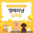 김포동물약국 | 700평 규모와 BBQ까지 가능한 애견카페(운동장) '멍때리냥' 김포점 (내돈내산)