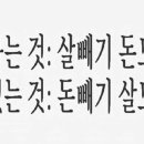 필라테스 블링