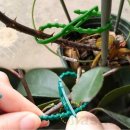 또와PC랑 이미지