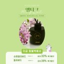 주식회사 엠티크