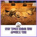 삼막7 | 안양 베이커리 카페 거북이, 파충류 정드는 삼막창고카페