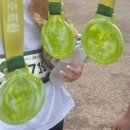 마라톤 6 : 유명한 &lt;2025 포레스트런 파이널런&gt; 기념품, 현장 이벤트, 10km 완주 후기