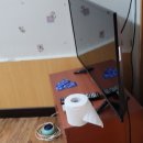서진장 이미지