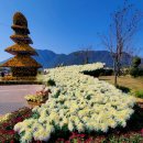 낙동강변25 이미지