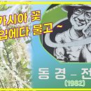 동경 Daum카페
