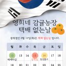영희네 감귤농장
