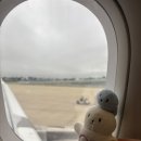 [임산부 혼자 대련 여행] 인천-대련 아시아나 왕복(OZ377, OZ378) 탑승 후기✈️