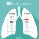 여성 흡연, 고령화...폐암이 늘고 있습니다 이미지